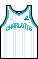 Kit_body_charlottehornets_association2021.png